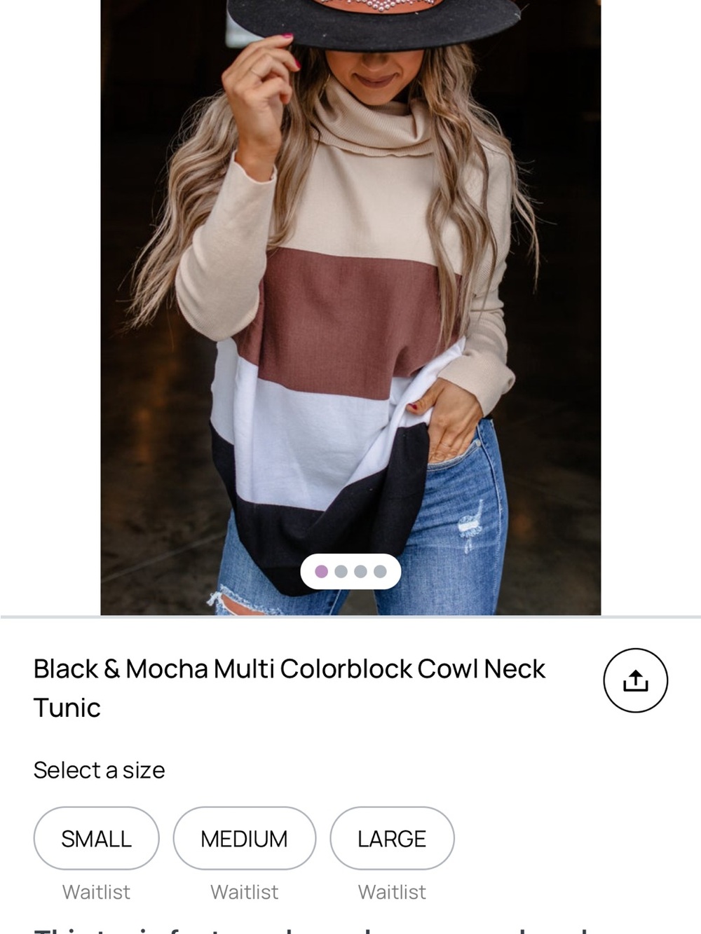 Colorblock Turtleneck Sweater - Beige, Brown, White, Black